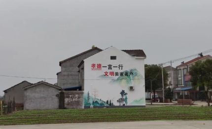 郸城新农村墙绘